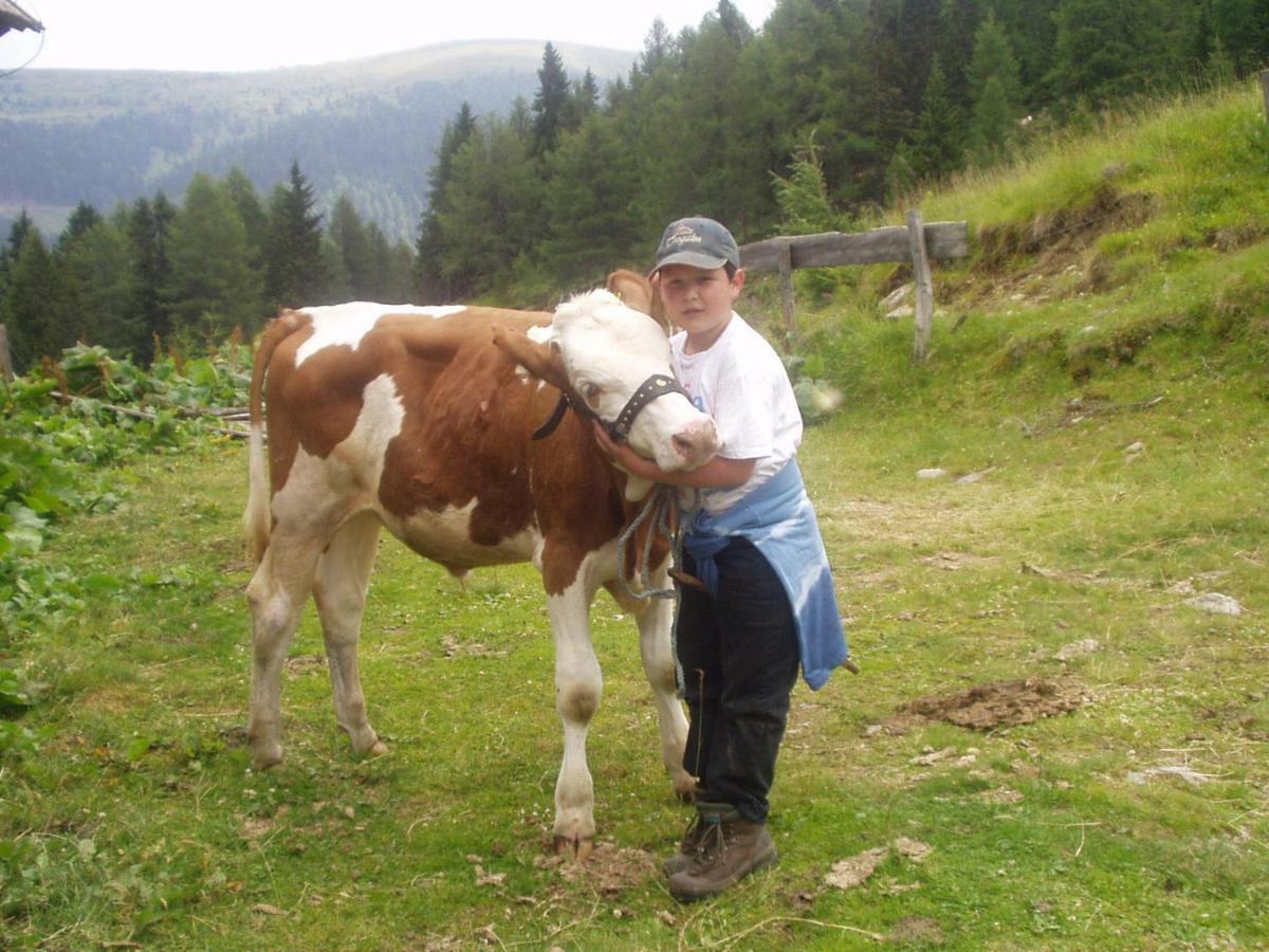 Villa Grillhof-Gut Mauterndorf  Esterno foto